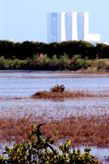 Nature thrives with technology as seen in this photo of the Vehicle Assembly Building (background) and surrounding grounds and water.